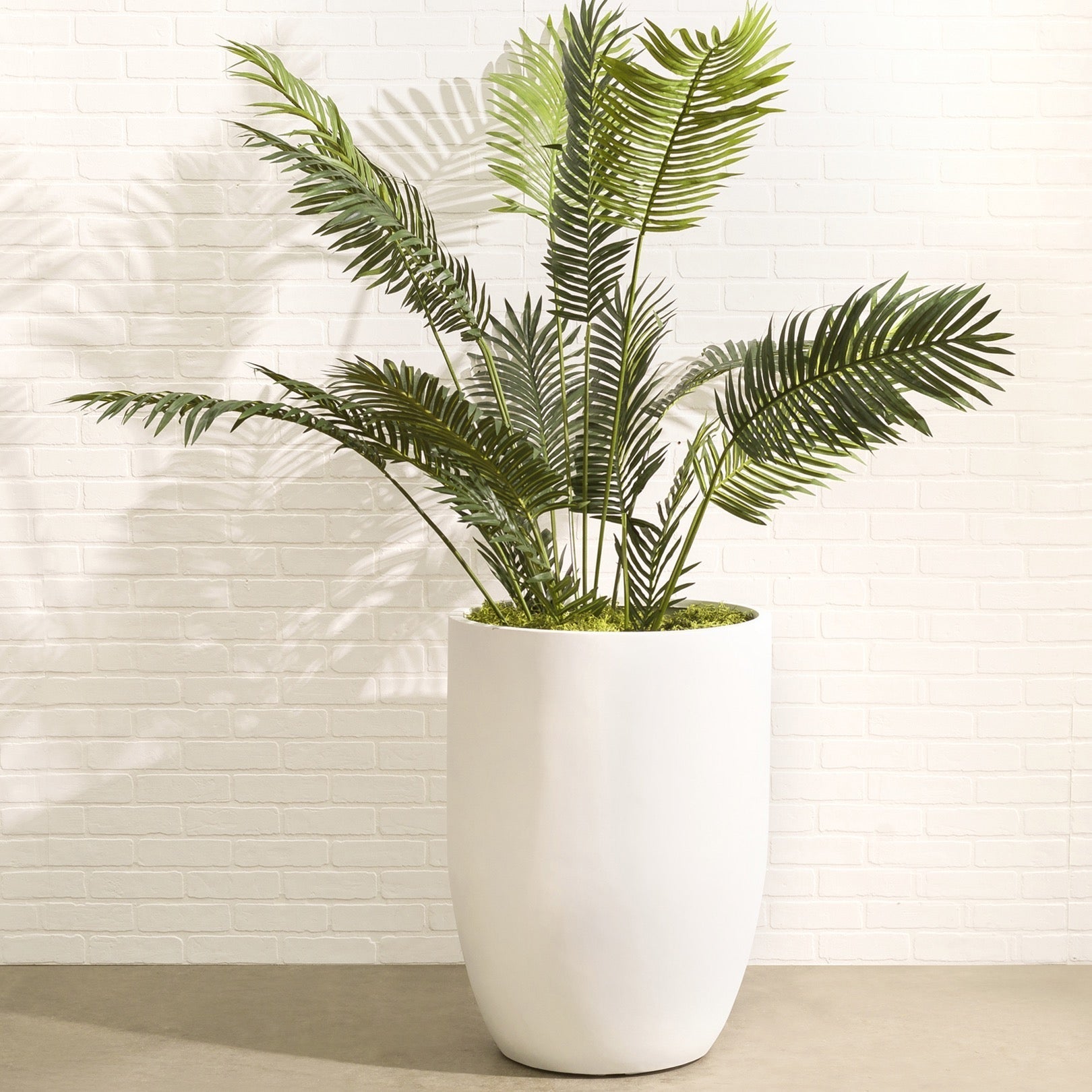 Large Indoor Planters, Modern Plant Pots and Containers at Wholesale Prices  - NewPro