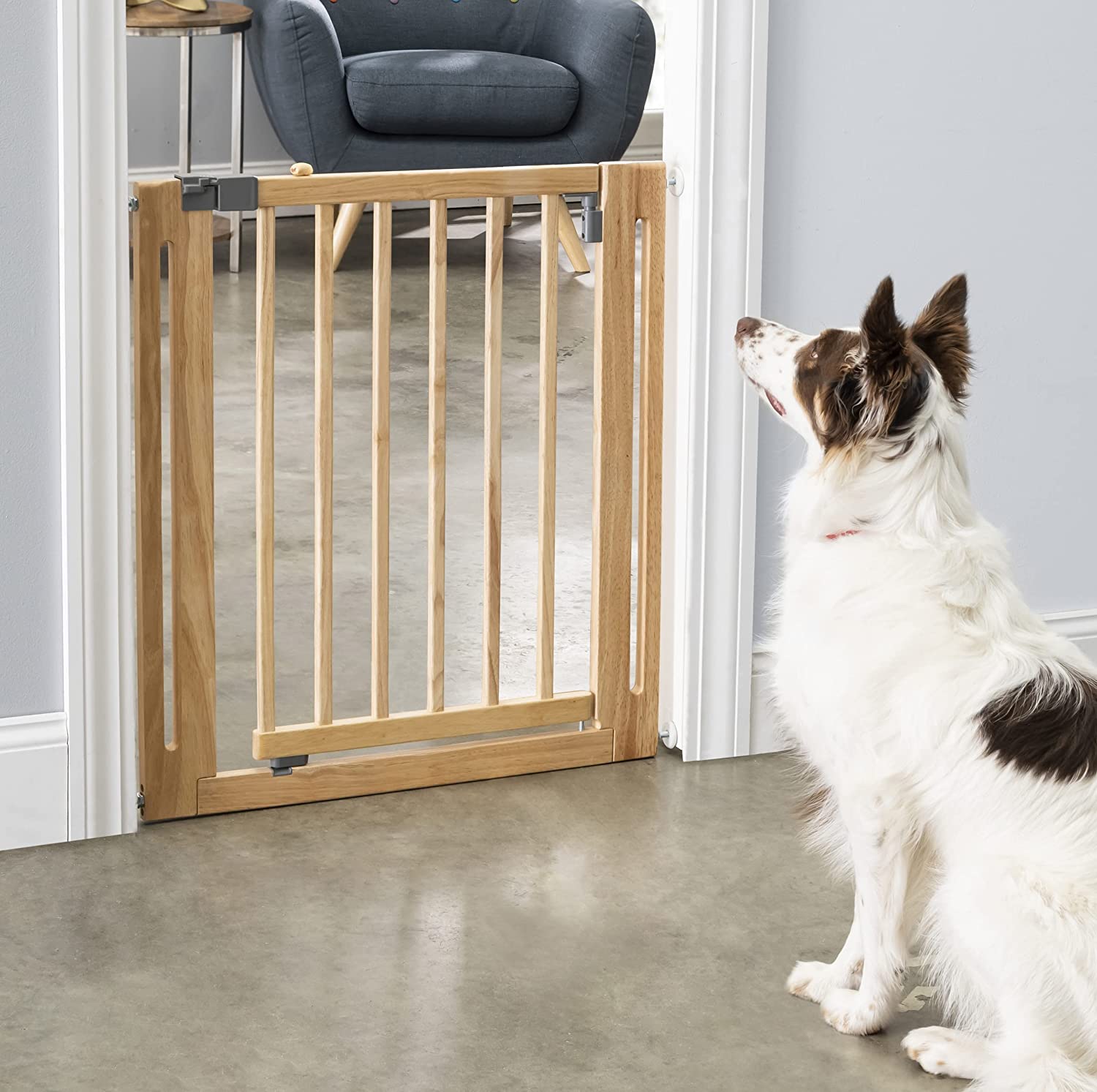 Upscale Auto Close Dog Gate Self Closing Pet Gate Auto Lock NMN Designs upscale-auto-close-dog-gate-self-closing-pet-gate-auto-lock-nmn-designs