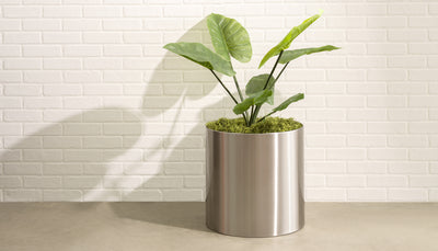 Stainless Steel Planter Pot Indoor Outdoor Knox NMN Products