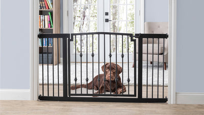 Emperor Rings Tall Extra Wide Pet Gate with Door Pressure Mounted for Inside the House, with Labrador Dog. NMN Designs