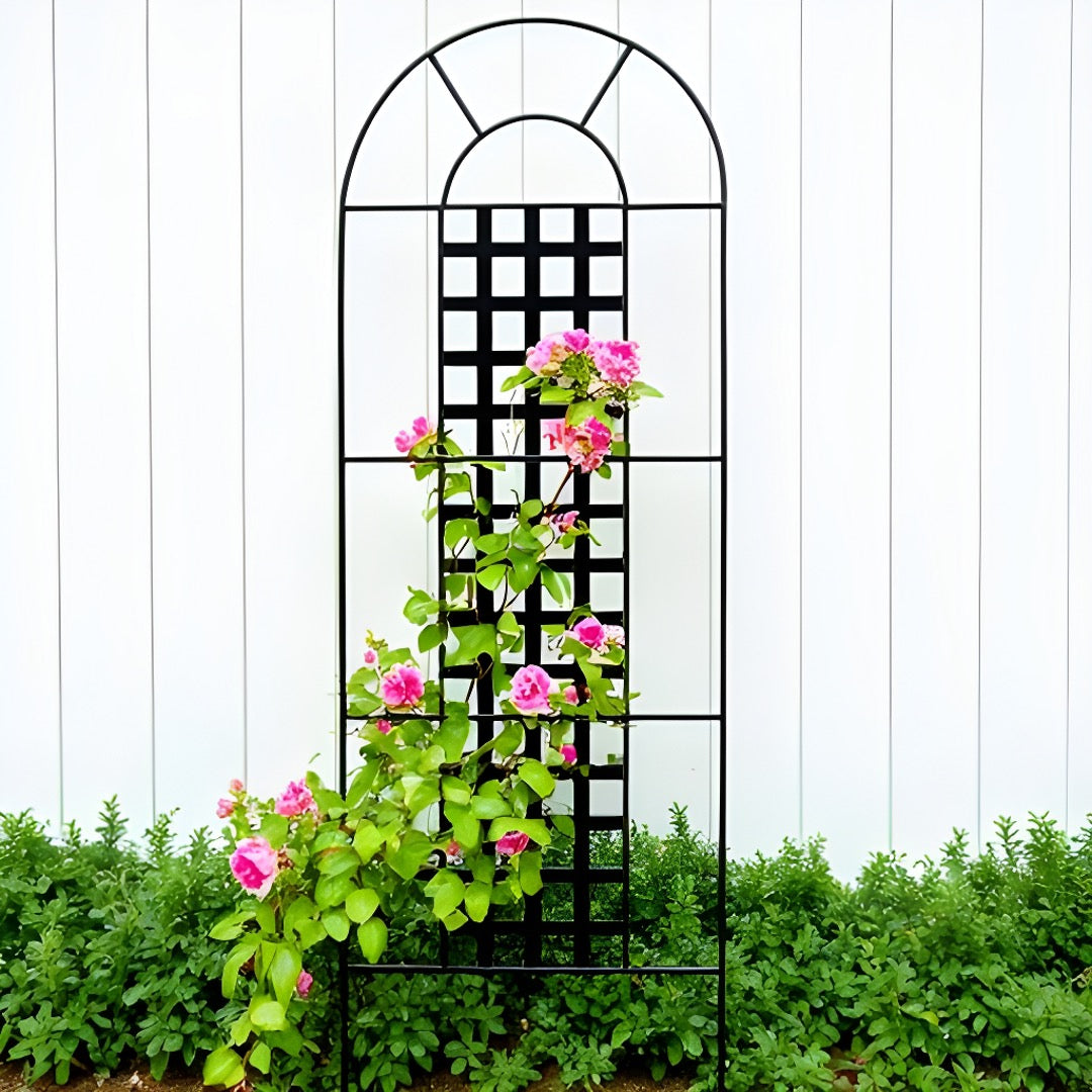 black trellis for climbing plants Chaucer Metal Plant Trellis