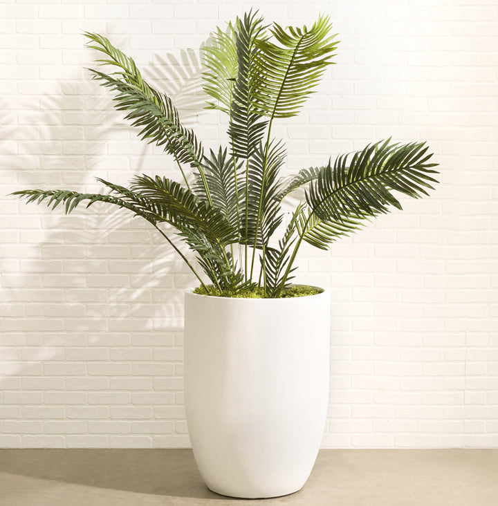 http://nmndesigns.com/cdn/shop/products/32-inch-tall-extra-large-fiberglass-plant-pot-white-bell-planter-nmn-designs-DP1_-_White_-_Bell_Planter_with_Palm_-_72dpi.jpg?v=1704024806