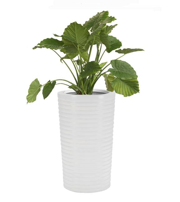 large white plastic plant pots Sunscape Carmen Fiberglass Planter, White