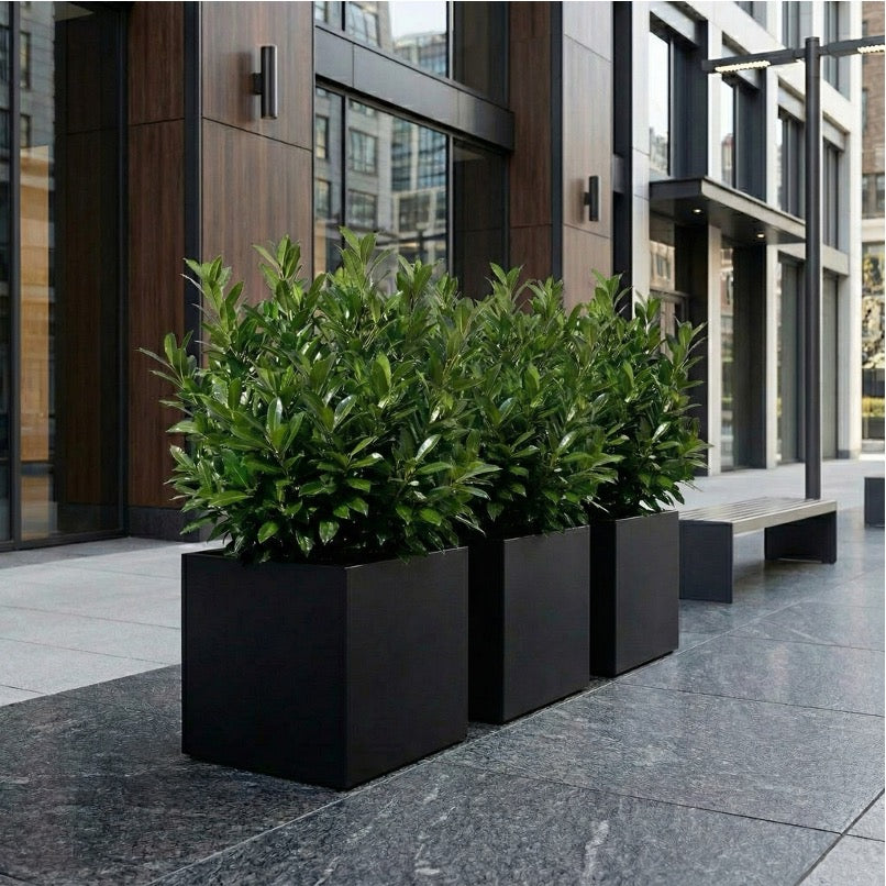 Office Building Interior Planter Box 10 Indoor Planter Box Ideas To