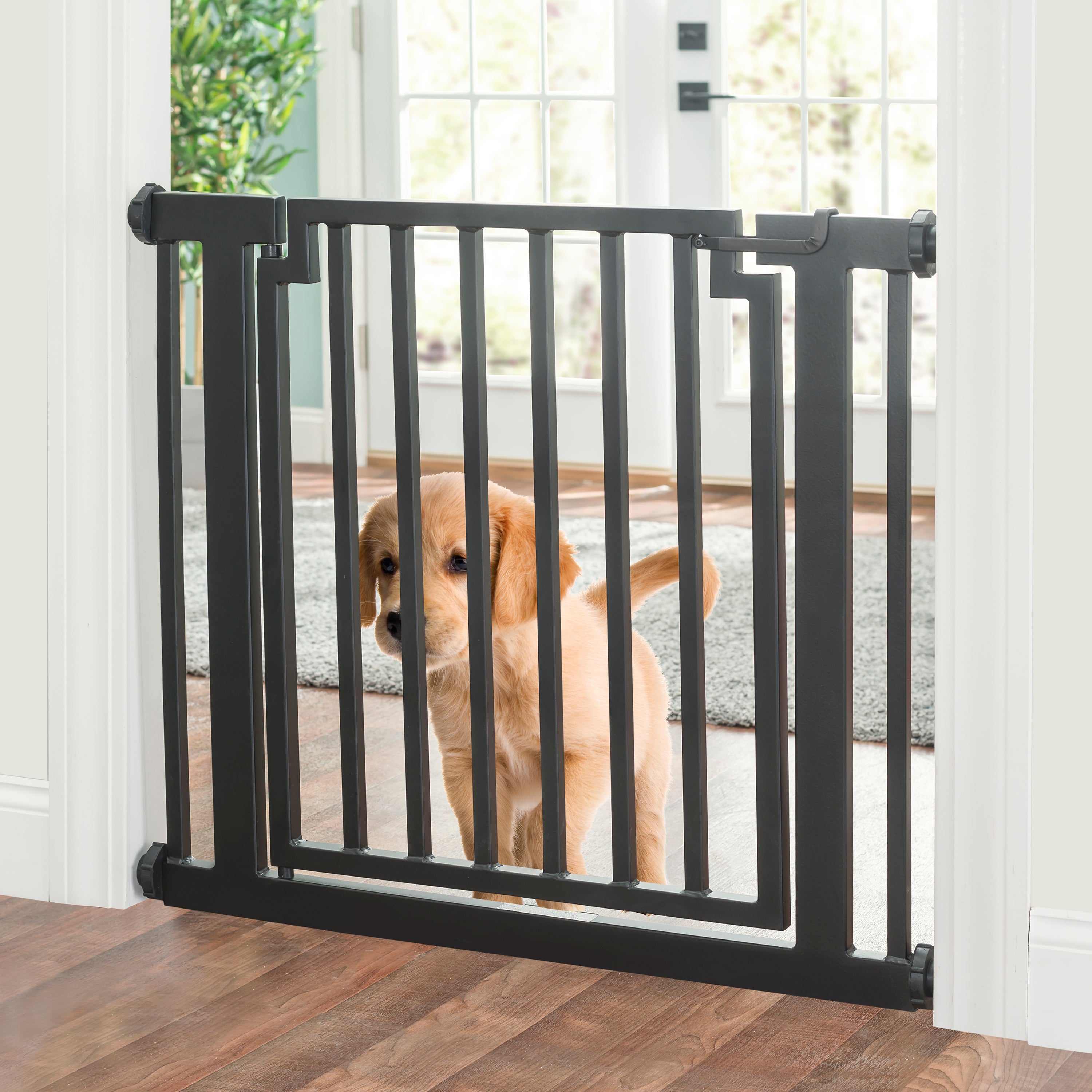 Best Dog Gate For Stairs | Pressure Mount Dog Gates Stairs, Pet Gate ...