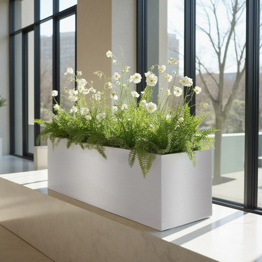 Office Planter Pots and Boxes. Indoor Office Space, Reception, Cubicle ...