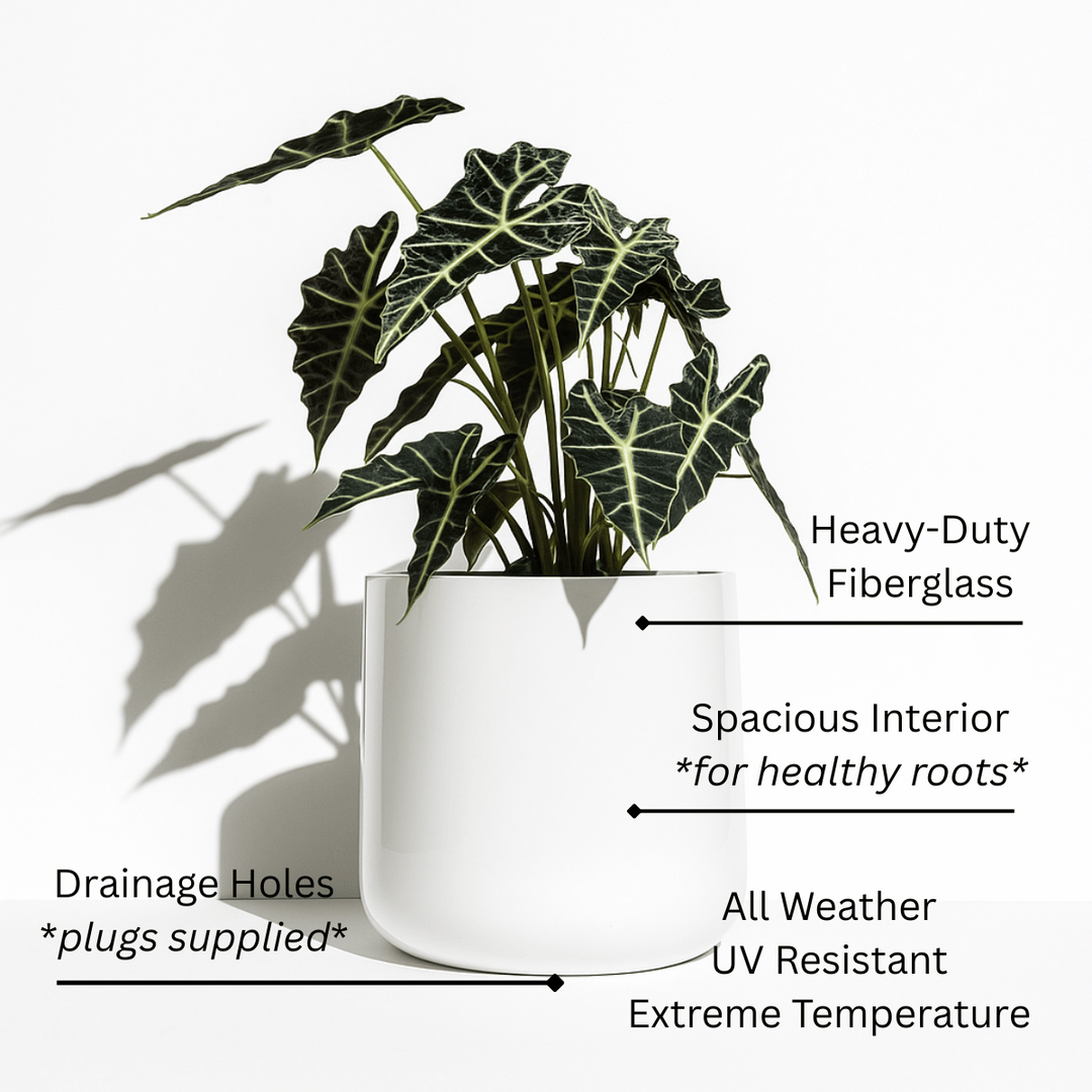 all weather plant pots NMN Designs Ainslie Scandi Modern Planter (9" -16" Round) Indoor / Outdoor Fiberglass w/ Drainage Plugs / Matte Black