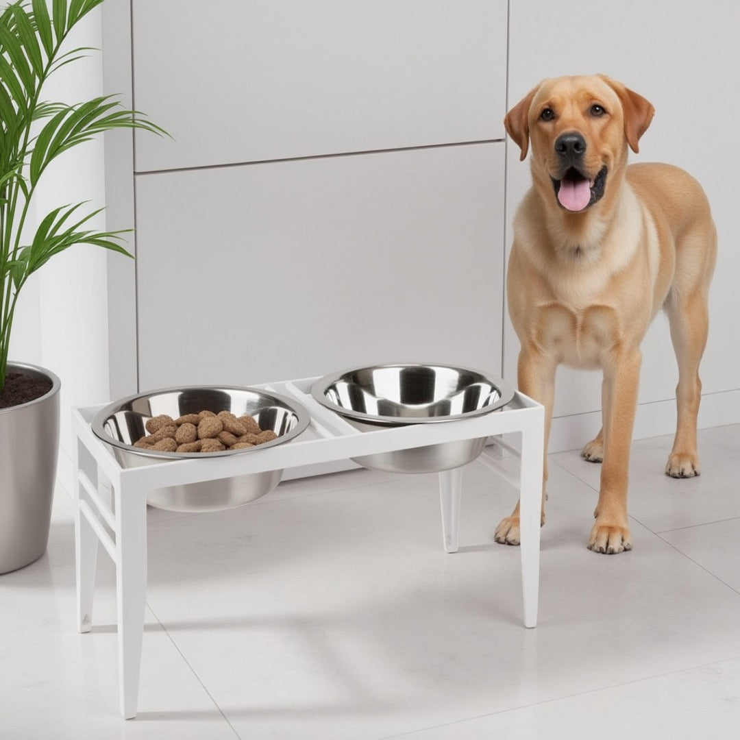 aldi dog bowl stand Chariot Double Elevated Dog Bowl