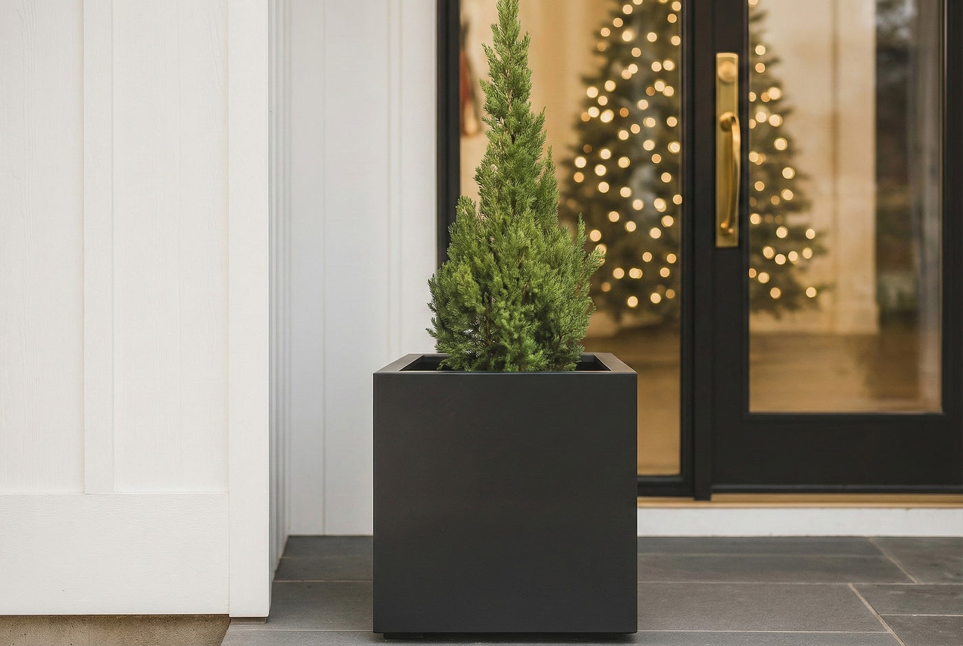 Gray cube fiberglass planter with a small evergreen tree in front of a glass door with Christmas lights inside. Seeley by NMN Designs