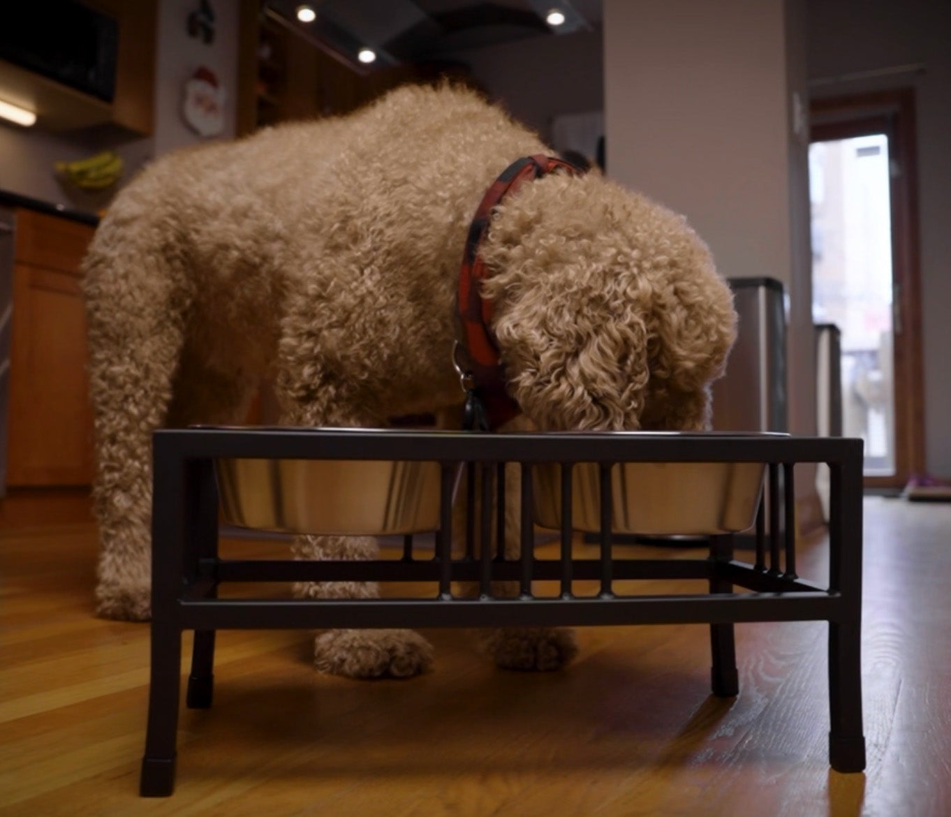 Elevated Dog Feeder Raised Bowls for German Shepherd – Modern Iron Works