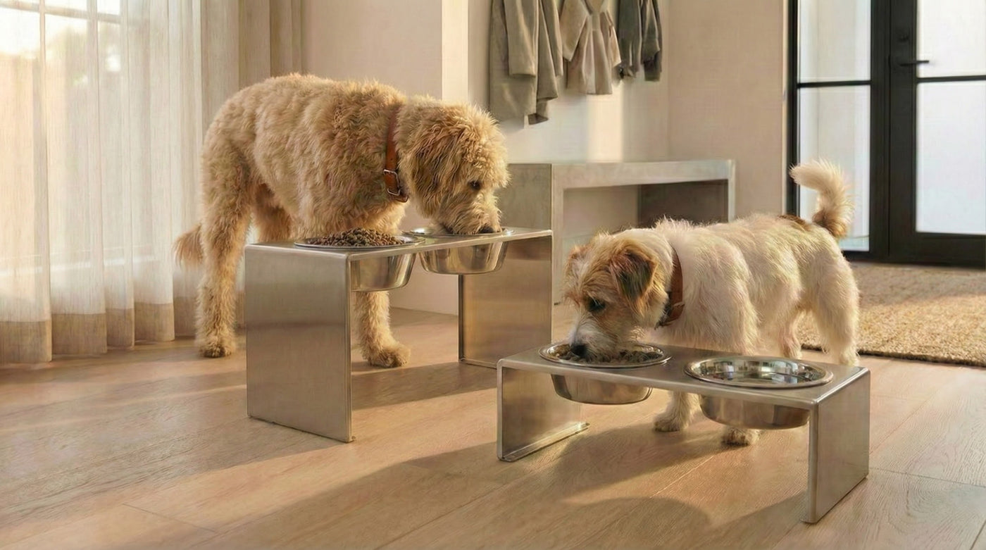 Two dogs eating from elevated stainless steel dog feeding station in a home setting. Small and large dog. Slate by NMN Designs
