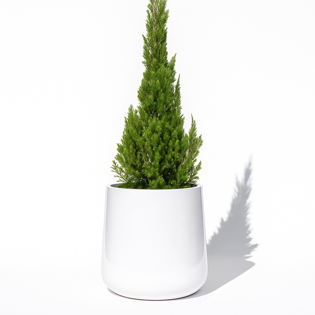 16 inch indoor plant pot Ainslie Planter