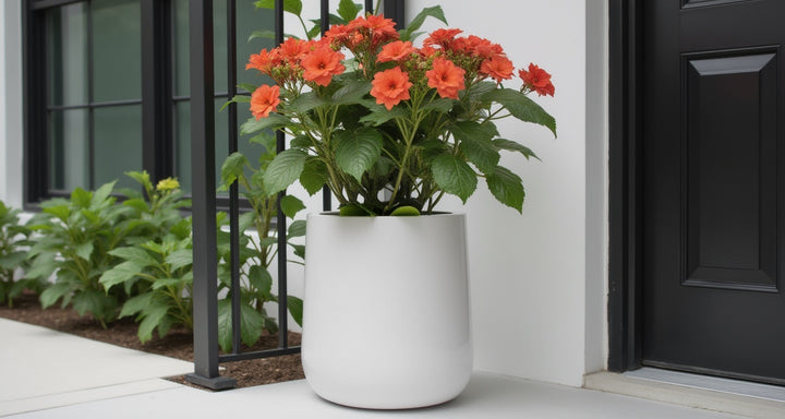 Ainslie Planter. Modern Glossy Round Fiberglass Plant Pot. Small 9
