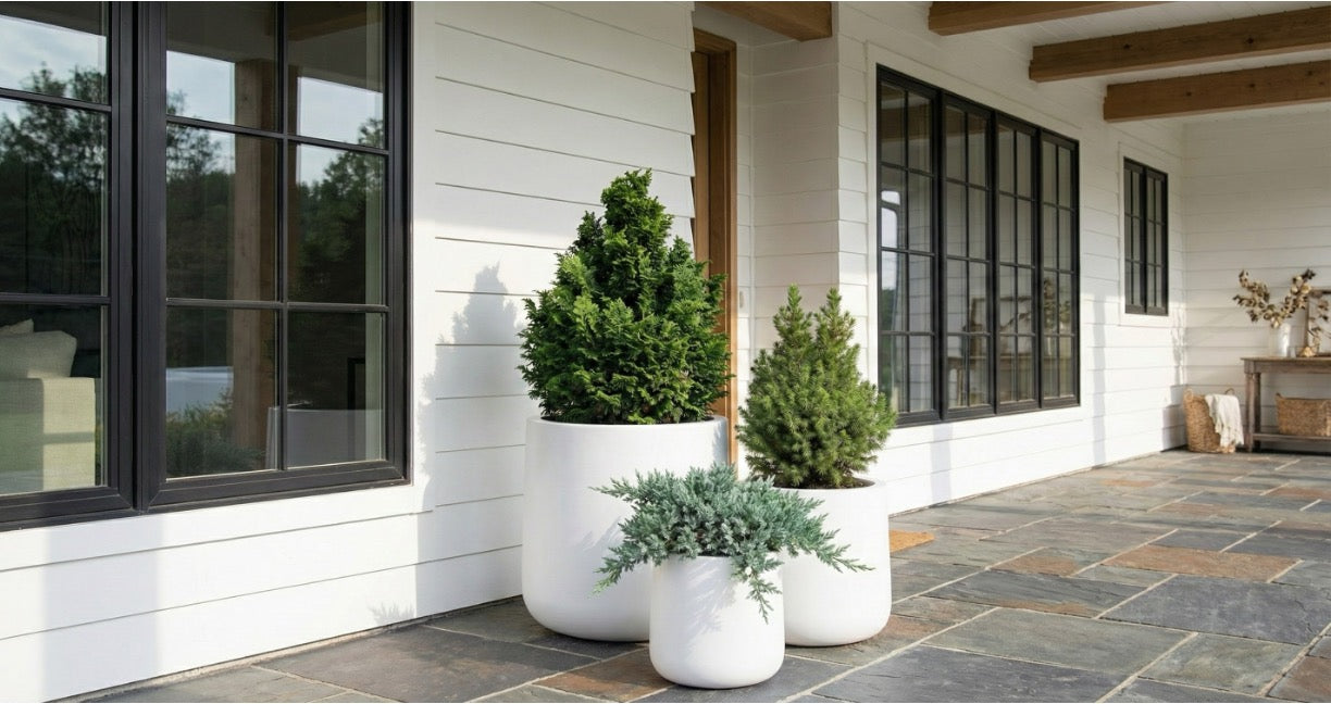 Ainslie Cylinder Planter - Modern Organic Round Fiberglass (9", 12", 16 ...