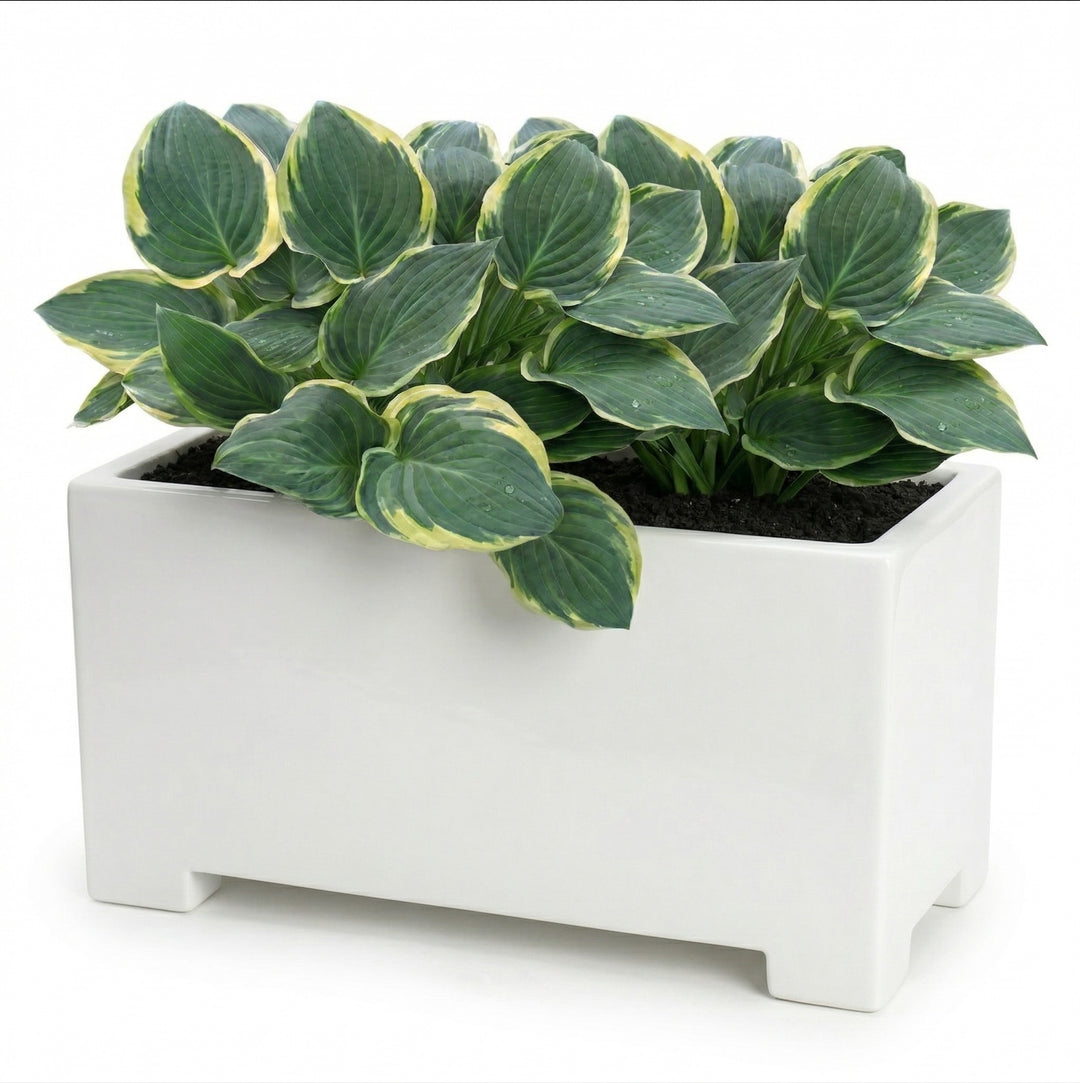 white plastic rectangular planter Alora White Rectangular Planter Box for Outside. Fiberglass, 13"