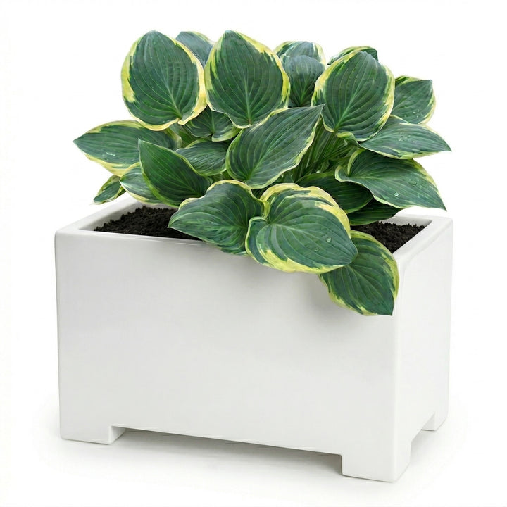 Alora White Rectangular Planter Box for Outside. Fiberglass, 13