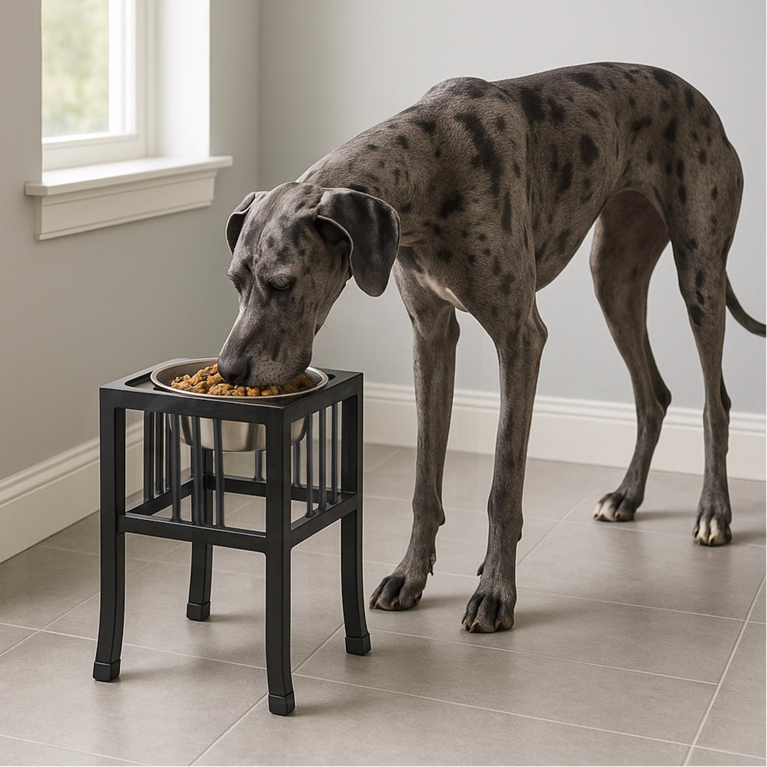 For Large Dogs Raised Food Dishes For Dogs Modern Elevated Single