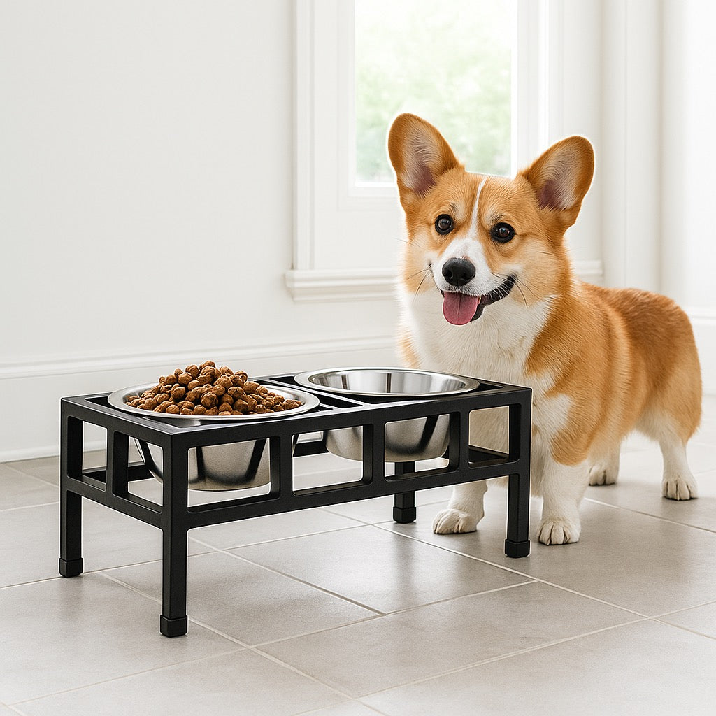 12 h elevated dog bowl Four Square Double Diner Small
