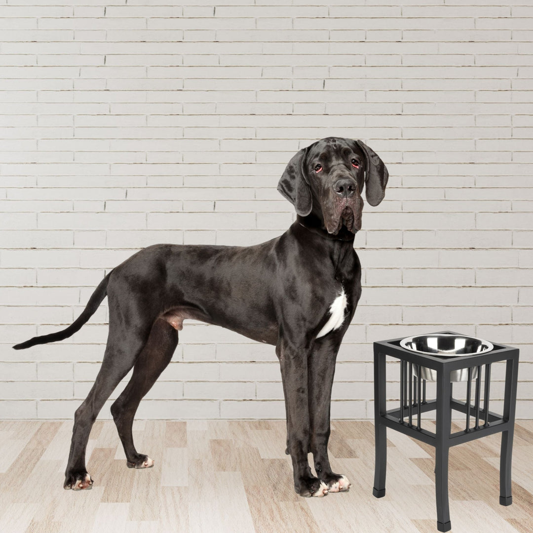 Great dane feeding station outlet