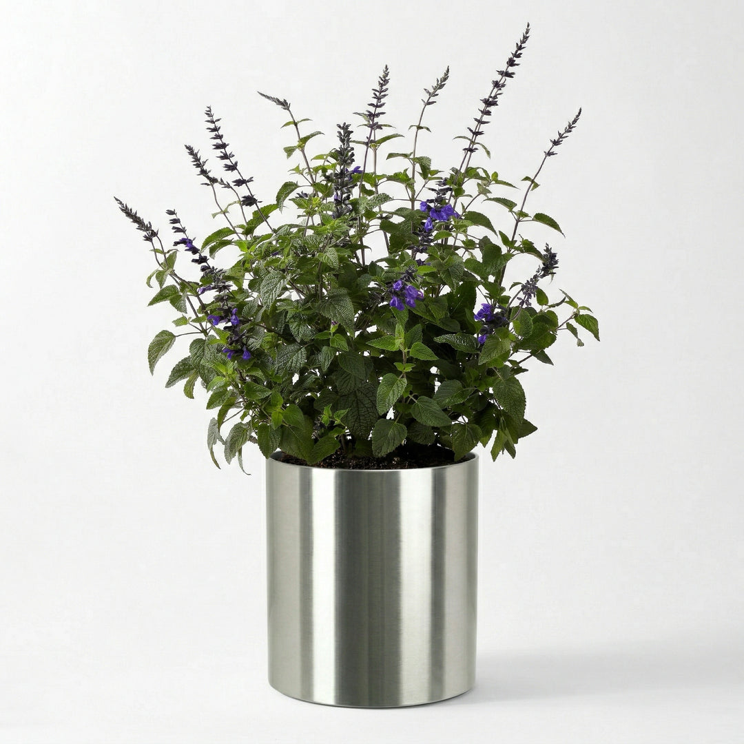 deep pot for plants Knox Stainless Steel Planter - (18 Gauge) Small 12" - Large 31" Round, Silver / White, Indoor / Outdoor, No Drainage