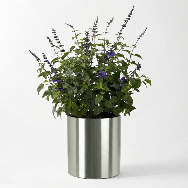 Knox Stainless Steel Planter - (18 Gauge) Small 12