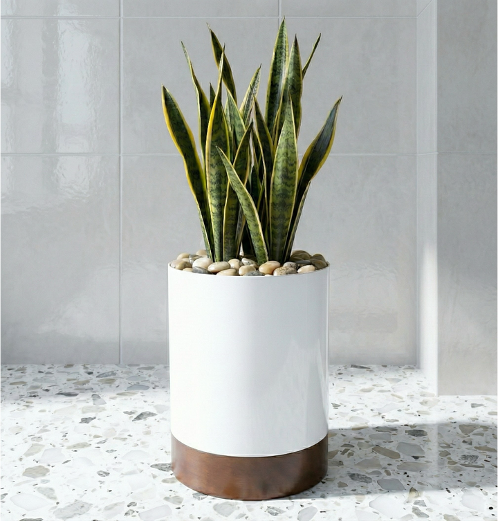 Knox Cylinder Planter with Wood Base