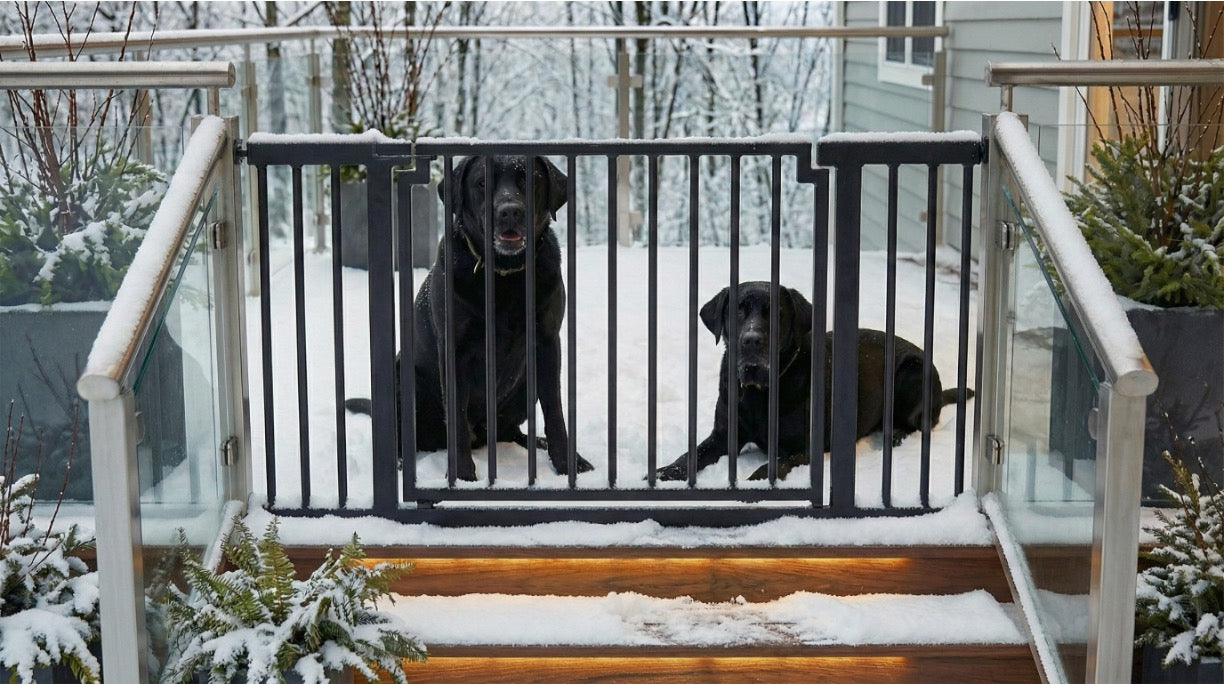 Two black dogs behind a metal pet gate on a snow-covered deck. Libro extra wide by NMN Designs
