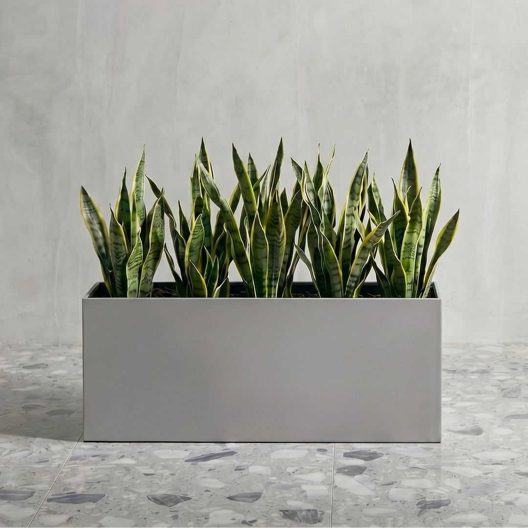 decorative rectangular planter indoor Madeira Rectangle Planter - 30" X 12" X 12"