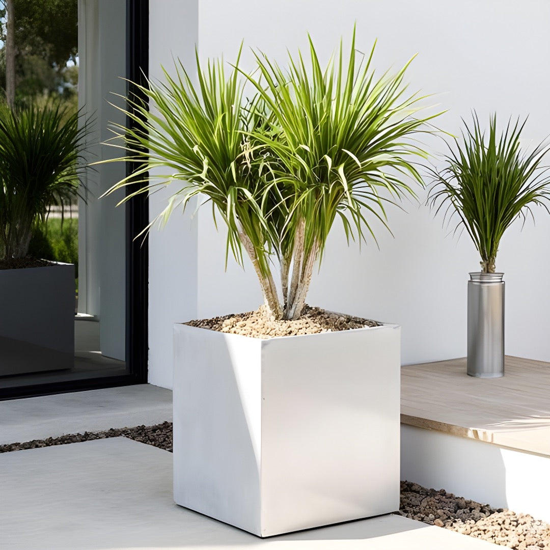 Madeira Aluminum Cube Planter - Modern Architectural 16