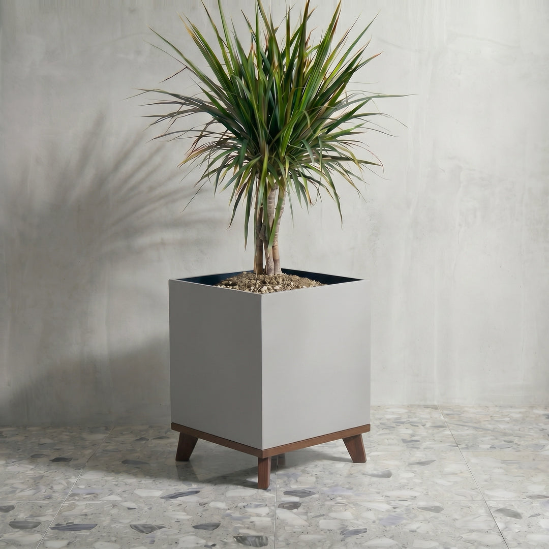 plant in wooden pot Madeira Cube Planter with Base