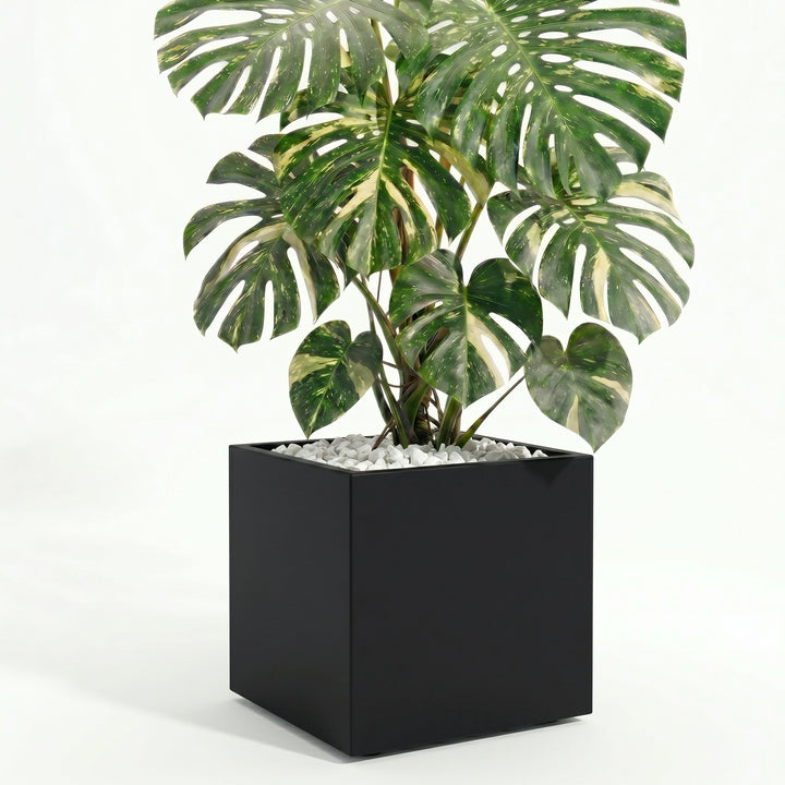 20 inch indoor planter Seeley Cube Block Planter - Fiberglass Square, 14" - 30" Extra Large -  Outdoor / Indoor w/ Drainage White, Gray, Black