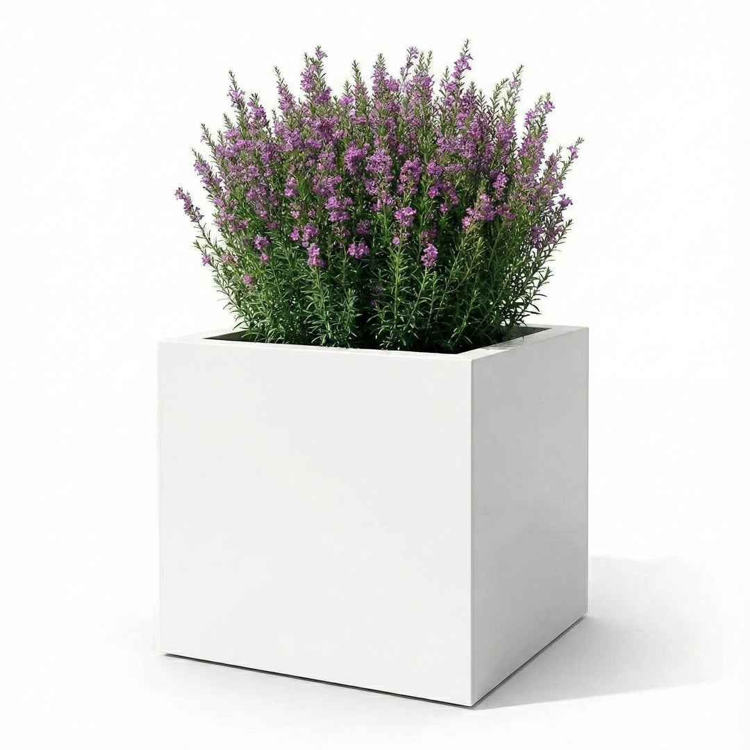 purple planter indoor Seeley Cube Block Planter - Fiberglass Square, 14" - 30" Extra Large -  Outdoor / Indoor w/ Drainage White, Gray, Black