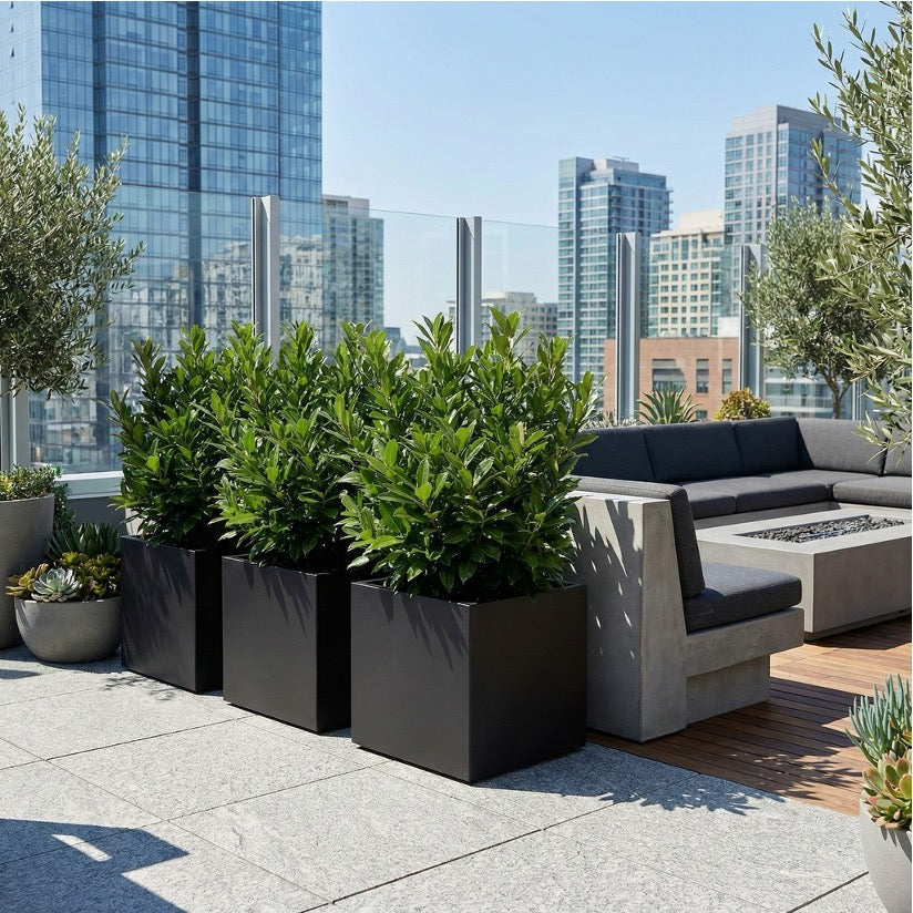 Seeley Cube Block Planter - 30