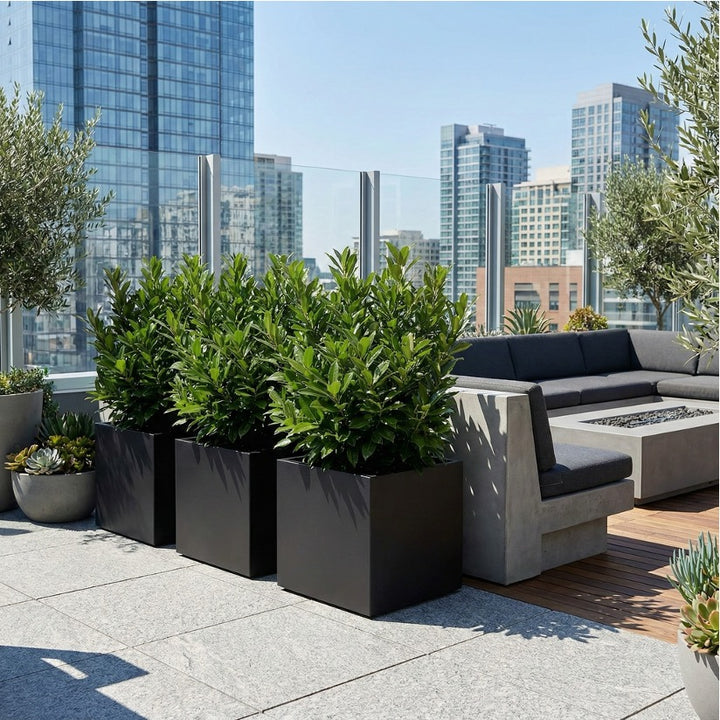 seeley_large_outdoor_planters_