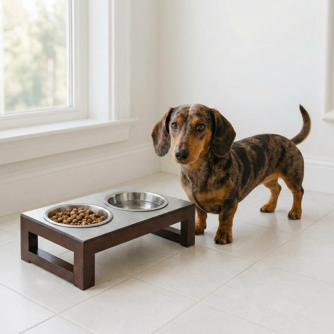 Pets Stop Indus Double Diner Feeder Walnut, Small
