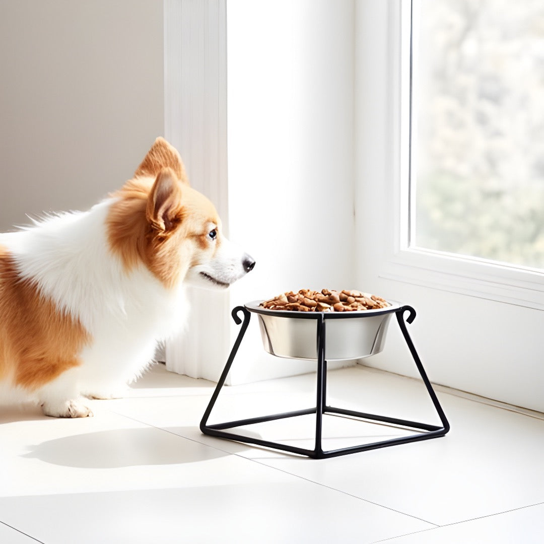 Pyramid. Iron Elevated Single Dog Bowl w/ Stand. Small - Large Dog