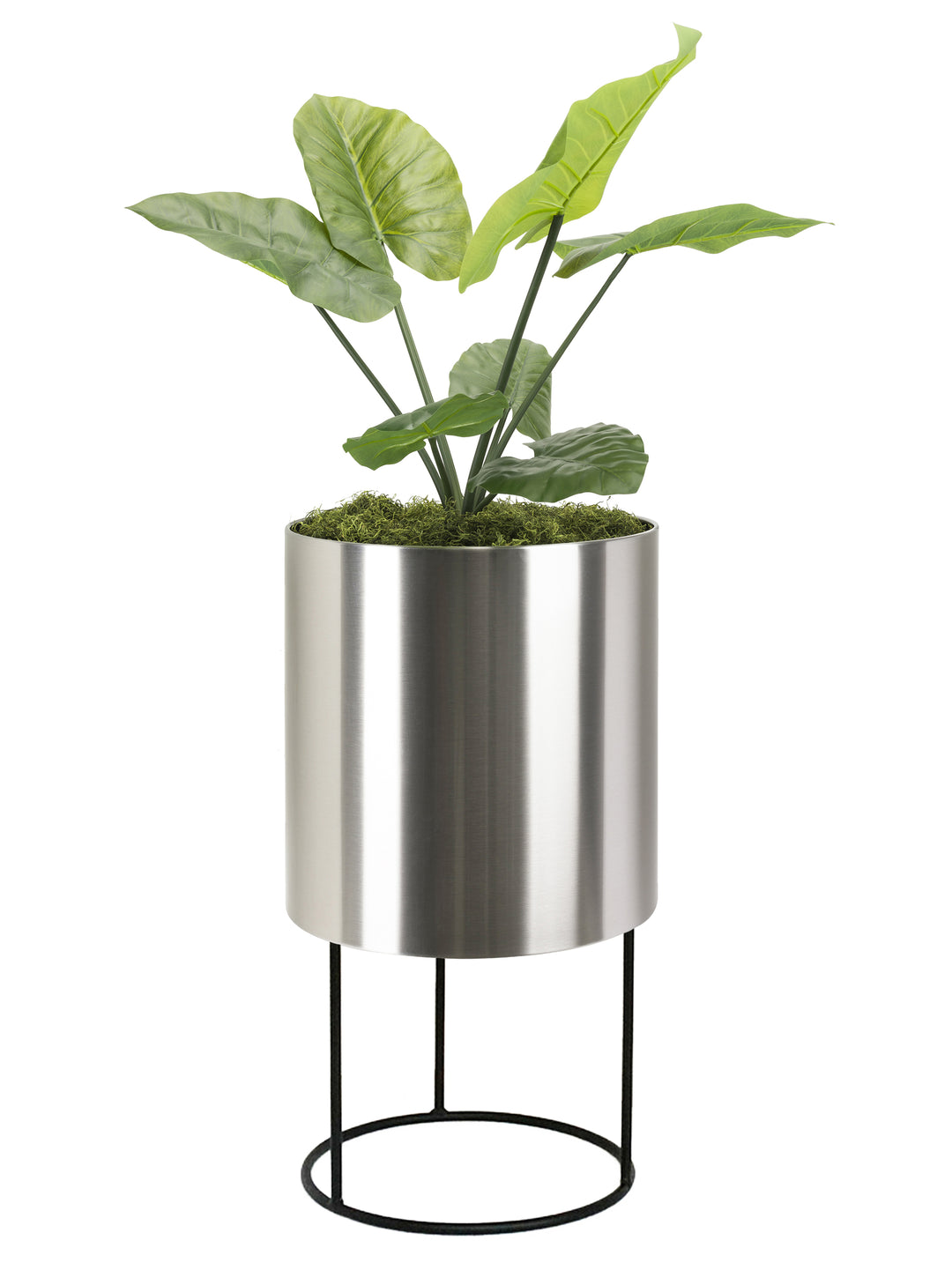 silver indoor plant stand Knox Cylinder Planter with Stand