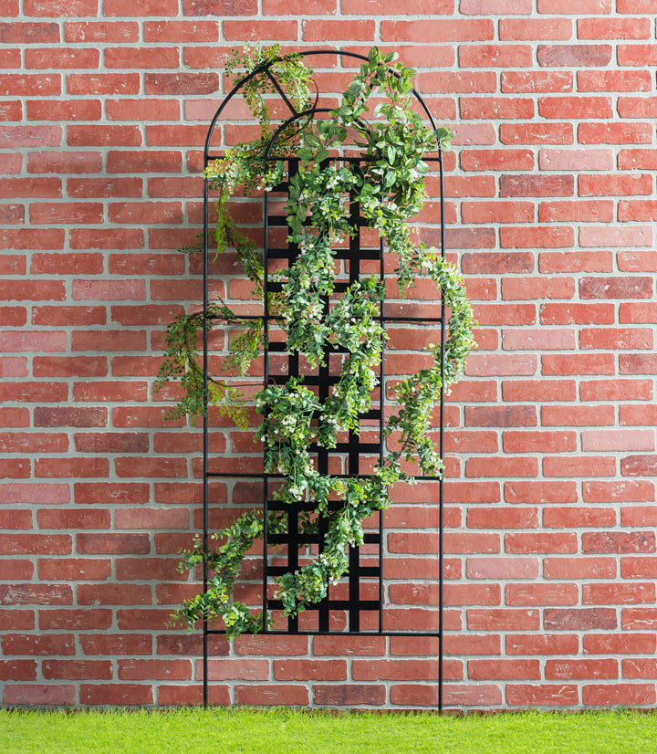 climbing plant on trellis 1-panel Metal Privacy Screen/Garden Trellis in Black Finish
