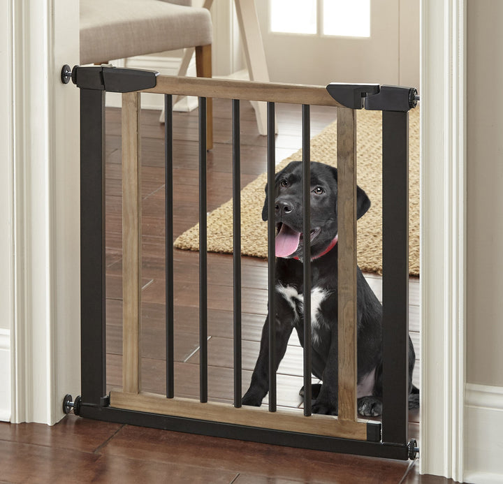 Walk over dog gate sale