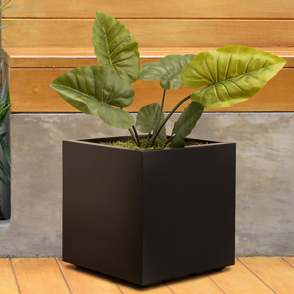 Eco Cube - Plant in a Box  Wholesale Promotional Plant Pots