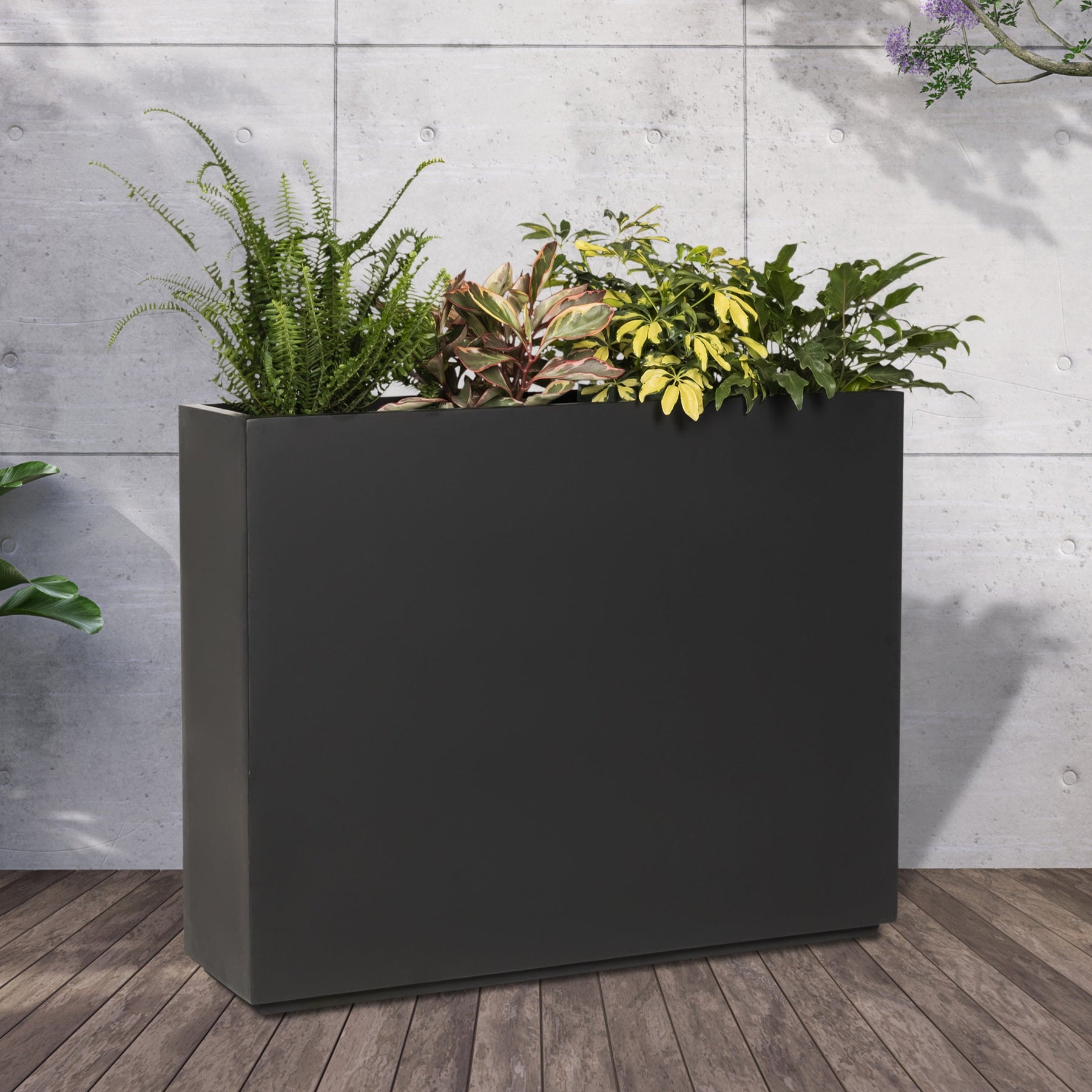 Aster. Tall Planter Box, Large Black Divider Planter, Rectangular Plant Pot.  29 T, 38 Wide, Narrow. Outdoor, Indoor w/ Drainage
